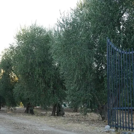 Olive&sea Villa-sea Appartement *