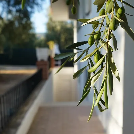 Olive&sea Villa-sea Lägenhet *